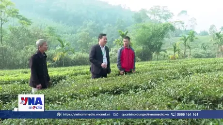 Nguồn vốn chính sách thúc đẩy giải quyết việc làm