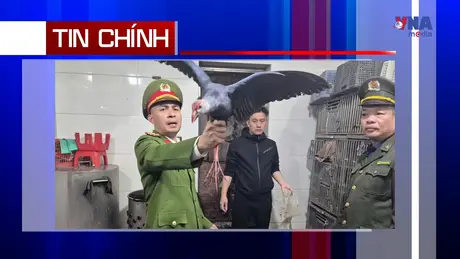 An ninh 365+ ngày 15/12/2025