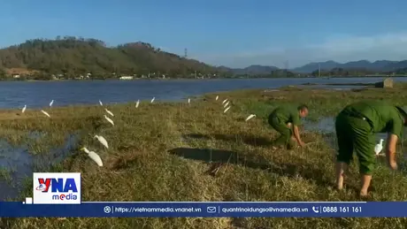 Hà Tĩnh nỗ lực bảo vệ động vật hoang dã, chim di cư