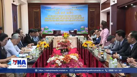 Tây Ninh thúc đẩy phát triển chuỗi giá trị mía đường theo hướng hiện đại