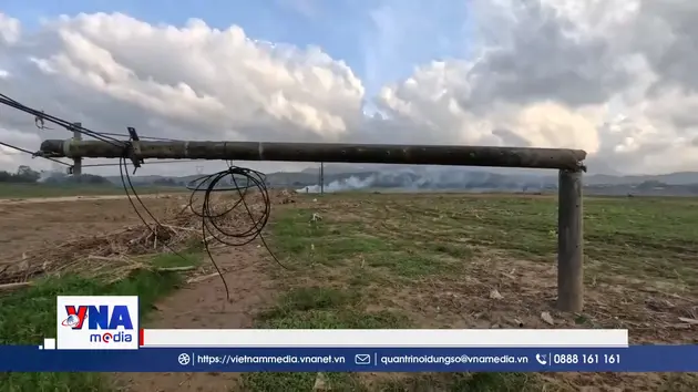 Nông dân Gò Nổi lo mất vụ Đông Xuân