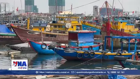 Đà Nẵng chuyển biến từ cơ sở trong nỗ lực gỡ thẻ vàng IUU