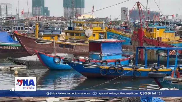 Đà Nẵng chuyển biến từ cơ sở trong nỗ lực gỡ thẻ vàng IUU