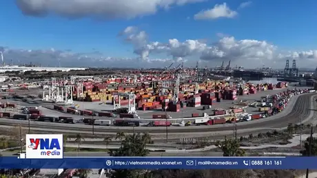 Kinh doanh toàn cầu chậm lại do tác động của thuế quan