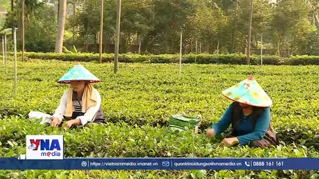 Hà Nội phát triển kinh tế vùng đồng bào dân tộc thiểu số