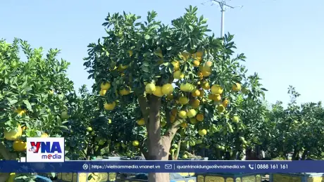 Đồng hành cùng nông dân đổi mới tư duy sản xuất