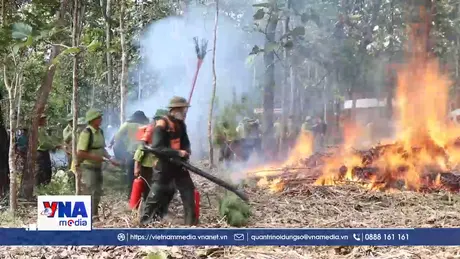 Đắk Lắk phối hợp các lực lượng trong phòng cháy, chữa cháy rừng