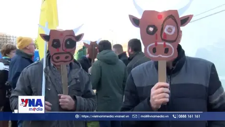 Biểu tình lan rộng tại Pháp do chính sách tiêu hủy gia súc