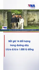 Bắt giữ 14 đối tượng trong đường dây lừa đảo 1.000 tỷ đồng