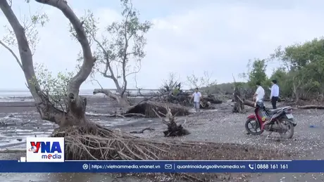 Chờ duyệt Đầu tư hơn 330 tỷ đồng chống xói lở bờ biển Gò Công