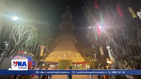 Ngàn người dân đổ về chiêm ngưỡng cây thông làm từ 3.000 chiếc nón lá