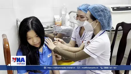 Đà Nẵng khởi động chương trình tiêm vắc-xin HPV miễn phí