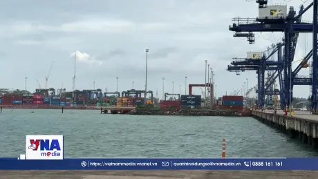 Cảng vận hành một đầu mối  “mở khóa” nút thắt logistics