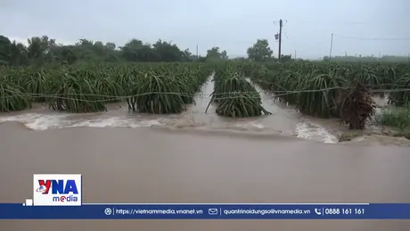 Hơn 2,6 triệu USD từ Quỹ Ứng phó khẩn cấp hỗ trợ khắc phục thiên tai