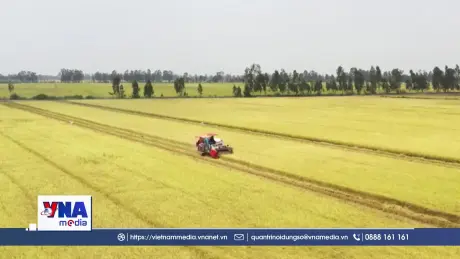 Hình thành 5 vùng nguyên liệu nông-lâm sản đạt chuẩn