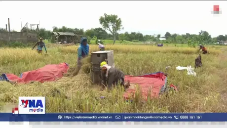 Indonesia hướng tới tự chủ lương thực quốc gia