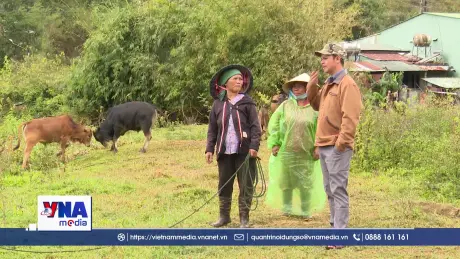 Nỗ lực từ những vùng đất 30a của Quảng Ngãi