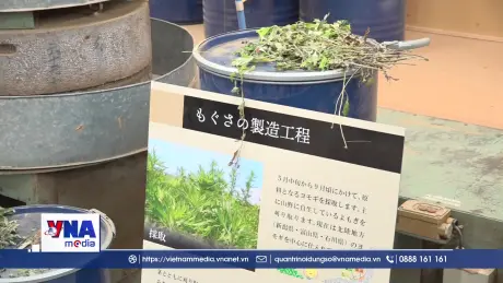 Ibuki Moxa - Di sản dược liệu từ núi tuyết