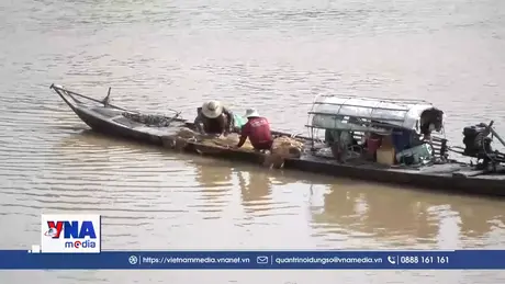 Kết thúc mùa lũ, người dân vào vụ đánh bắt cá ra sông