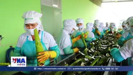 Hội chợ Mùa thu: Từ xu hướng đến lựa chọn tiêu dùng xanh