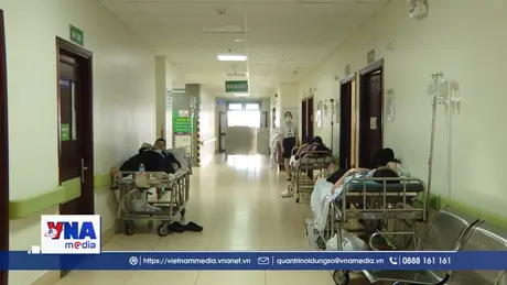 Hàng chục người ngộ độc nghi do ăn bánh mỳ