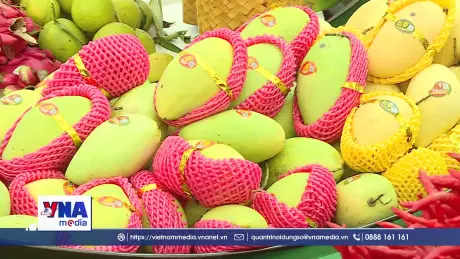 Hội chợ Mùa Thu 2025: Sức bật từ thị trường nội địa đến xuất khẩu