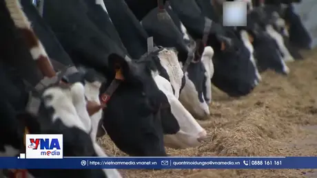 Trung Quốc áp thuế chống trợ cấp đối với sản phẩm sữa của EU