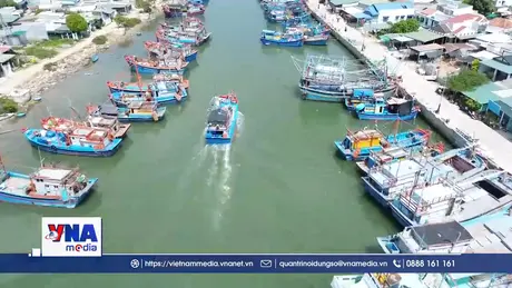 Phiên họp thứ 27 Ban Chỉ đạo chống khai thác IUU