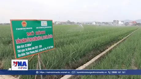 Kết nối tiêu thụ nông sản vùng đồng bằng sông Hồng