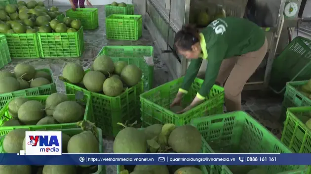 TP.Hồ Chí Minh hoàn thiện chính sách liên kết sản xuất - tiêu thụ nông sản