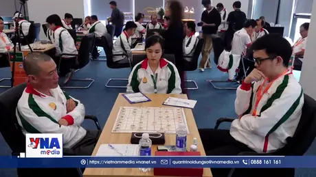 Khai mạc giải Cờ tướng các danh thủ quốc tế tại Đà Nẵng