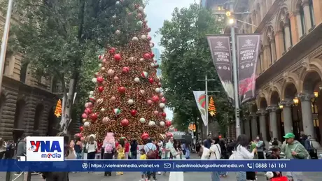 Tiêu điểm quốc tế: Hương sắc khó quên mùa Giáng sinh ở “xứ sở Chuột túi” 