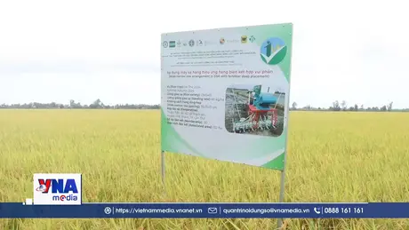 Cần Thơ hướng tới tín chỉ carbon vào năm 2026