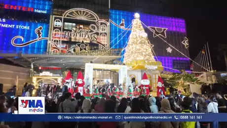 Những cây thông Hà Nội rực rỡ chào đón mùa lễ Noel