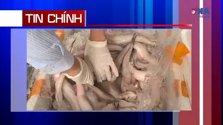 An ninh 365+ ngày 24/12/2025