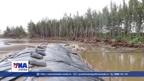 Hơn 9km bờ biển ở Vĩnh Long bị sạt lở nghiêm trọng