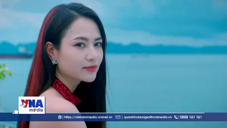 Việt Hoa phim ‘’Gió ngang khoảng trời xanh’’ tham dự Đại hội Thi đua yêu nước