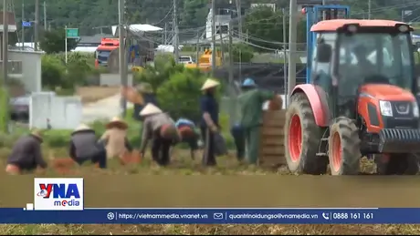 Hàn Quốc tiếp nhận lao động thời vụ nước ngoài trong năm 2026
