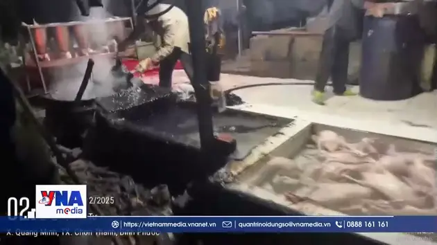 Xử lý điểm giết mổ sử dụng chất hỗ trợ không rõ nguồn gốc