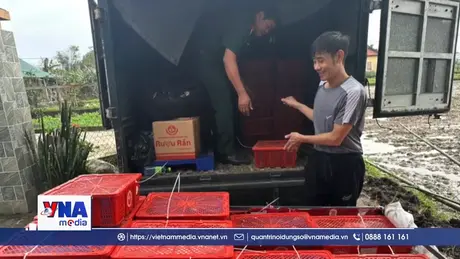 Quảng Trị: Bàn giao 676 con rắn hổ mang cho cơ sở bảo tồn