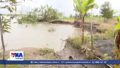 Tiếp tục xảy ra sạt lở nghiêm trọng bên bờ sông Tiền