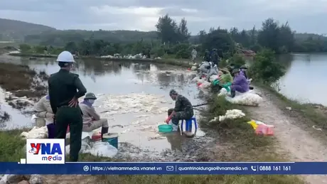 Thông tin ban đầu về sự cố tràn dầu ở Quảng Ngãi