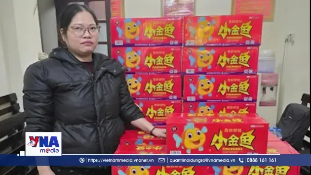 Ninh Bình đấu tranh, xử lý nghiêm vi phạm về pháo