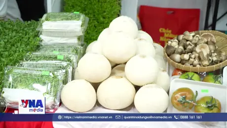 Kết nối phát triển thị trường cho sản phẩm OCOP