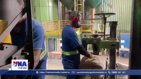 Bước chuyển mình của cà phê Brazil