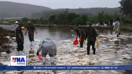 Quảng Ngãi khẩn trương khắc phục sự cố tràn dầu ra môi trường