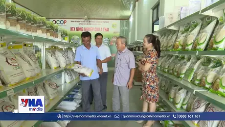 Kết nối doanh nghiệp nhỏ và công nghệ số qua hợp tác xã điện tử