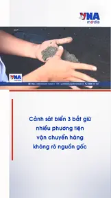 Cảnh sát biển 3 bắt giữ nhiều phương tiện vận chuyển hàng không rõ nguồn gốc