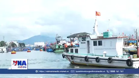 Ngư dân Khánh Hòa cùng chính quyền nỗ lực gỡ “thẻ vàng” IUU