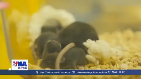 Bước tiến mới của sinh học không gian